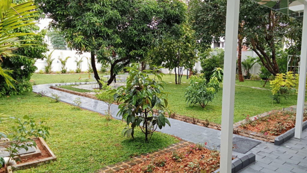 Untitled design (19)