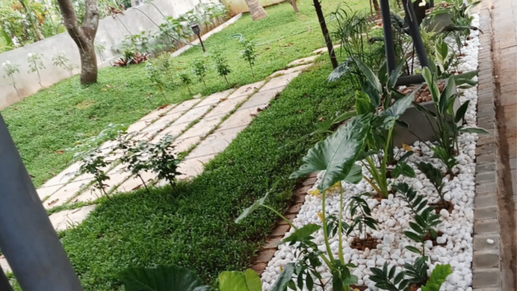 Untitled design (20)